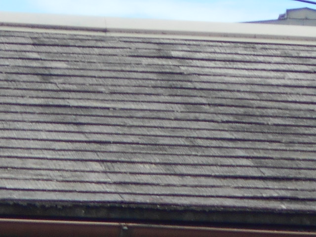 カラーベスト屋根調査