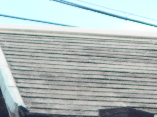 カラーベスト屋根調査