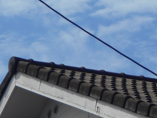 モニエル瓦屋根調査