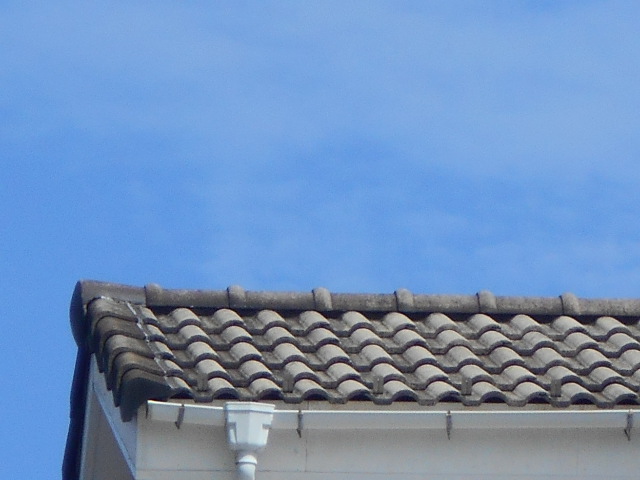 モニエル瓦屋根調査
