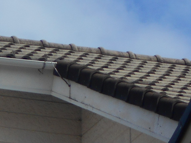 モニエル瓦屋根調査