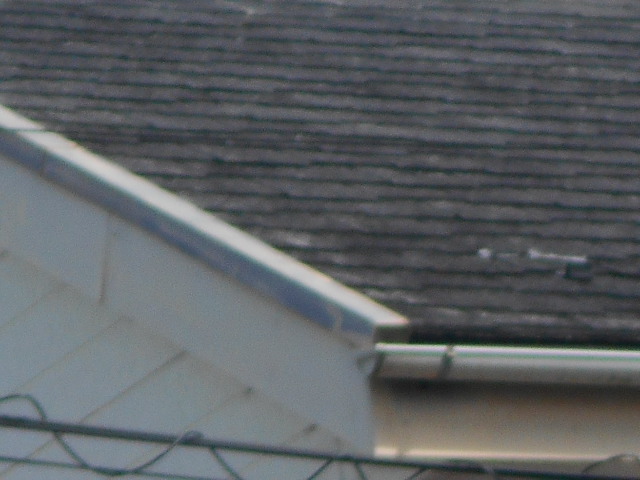 カラーベスト屋根調査