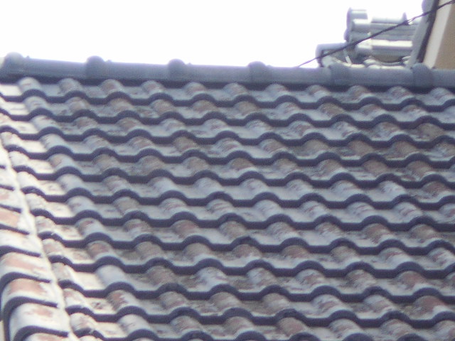モニエル瓦屋根調査