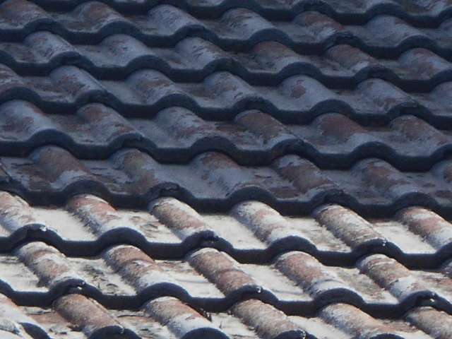 モニエル瓦屋根調査