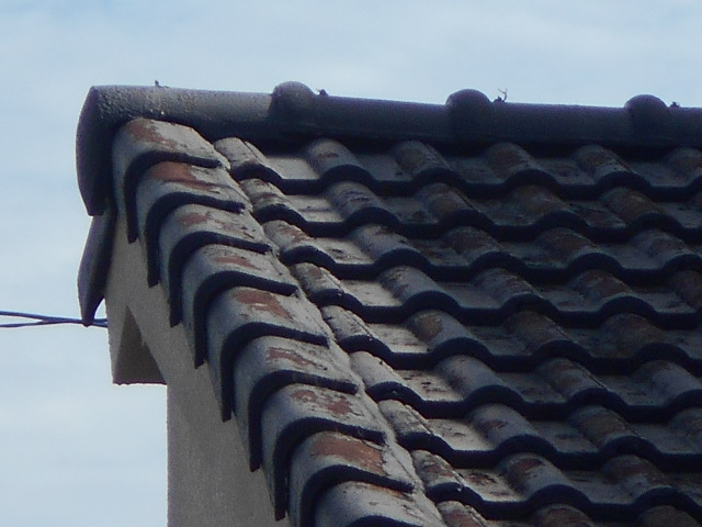 モニエル瓦屋根調査