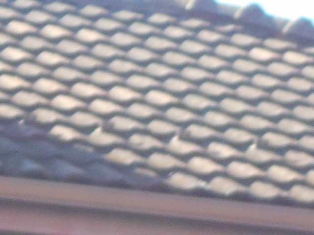 モニエル瓦屋根調査