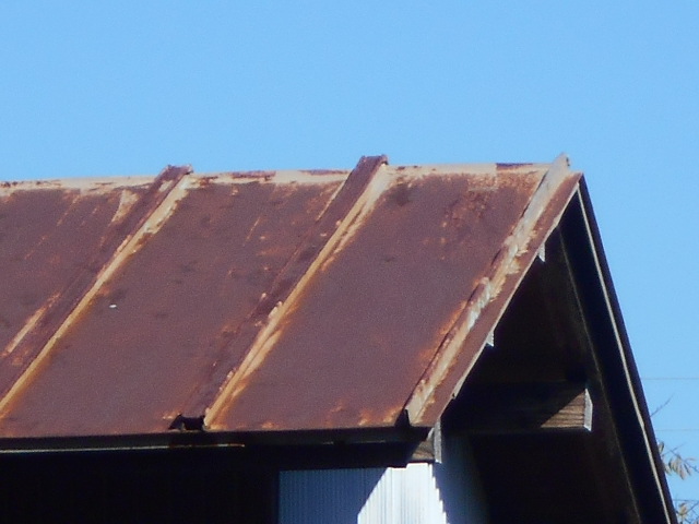 カラートタン瓦棒屋根調査