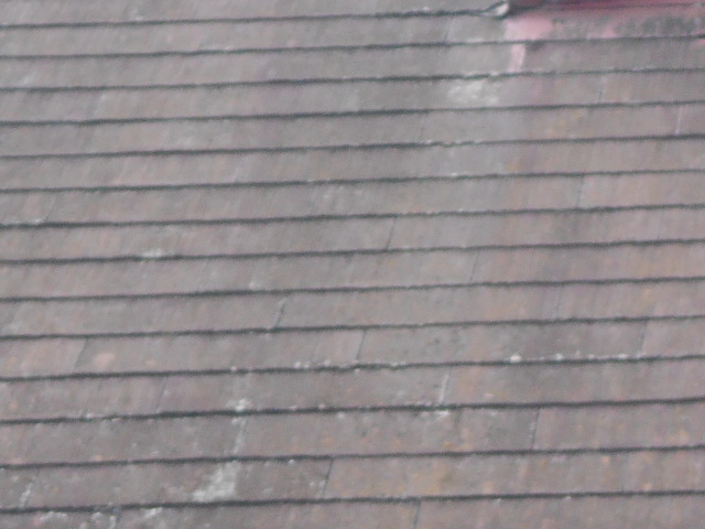 カラーベスト屋根調査