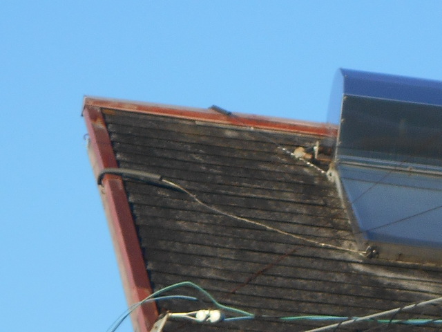 カラーベスト屋根調査