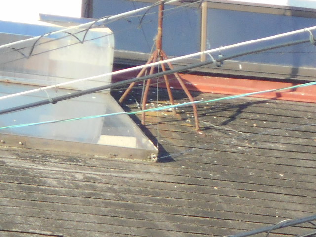 カラーベスト屋根調査