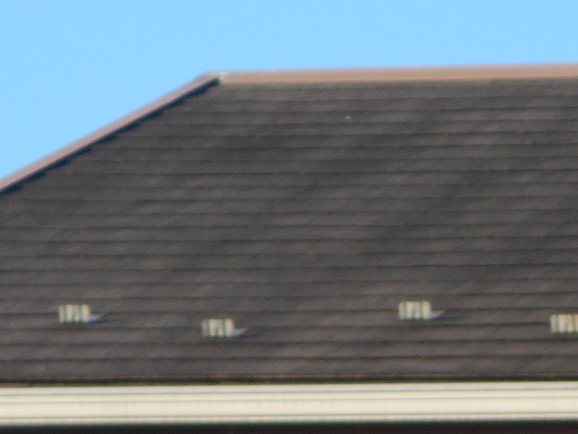 カラーベスト屋根調査