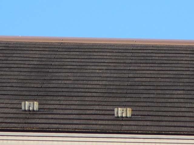 カラーベスト屋根調査