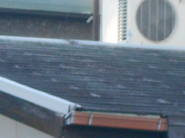 カラーベスト屋根調査