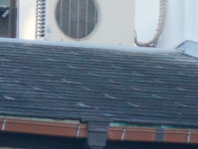 カラーベスト屋根調査