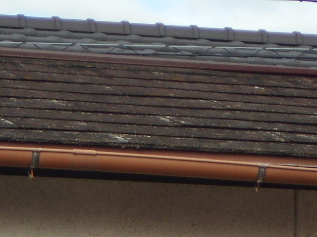 カラーベスト屋根調査