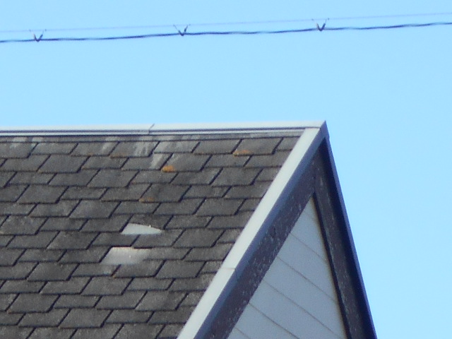 カラーベスト屋根調査