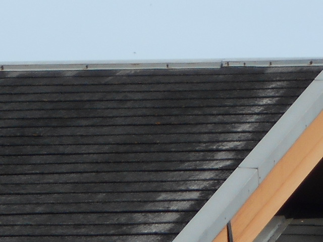 カラーベスト屋根調査