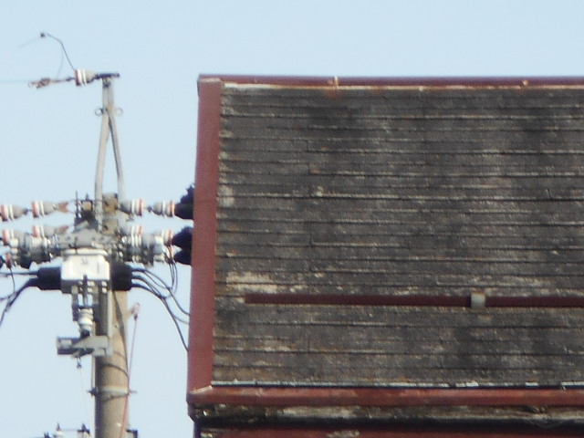 カラーベスト屋根調査