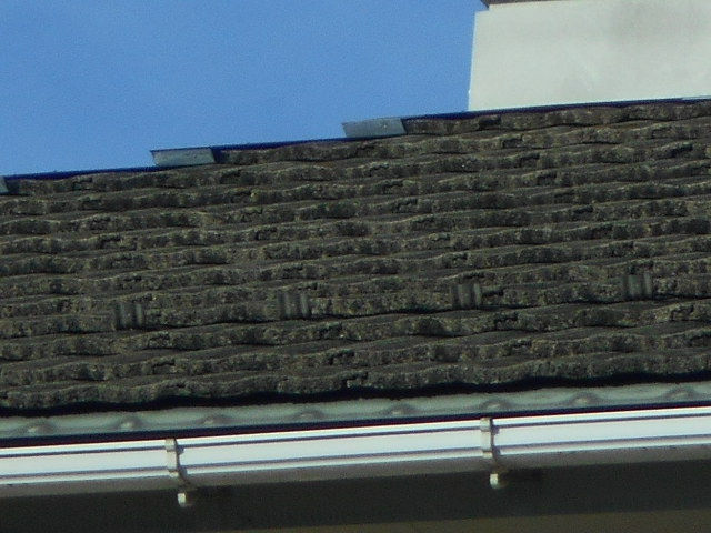 モニエル屋根調査