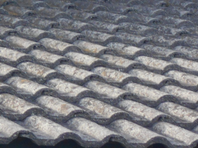 モニエル瓦調査