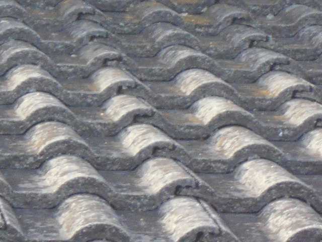 モニエル瓦調査