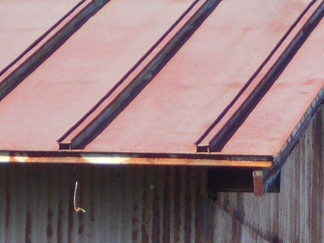 カラートタン瓦棒屋根調査