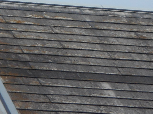 カラーベスト屋根調査