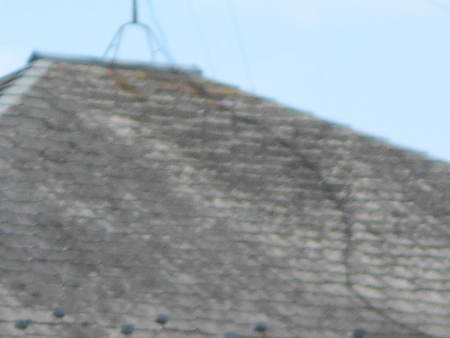 カラーベスト屋根調査