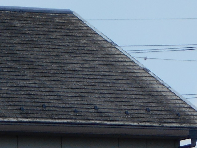 カラーベスト屋根調査