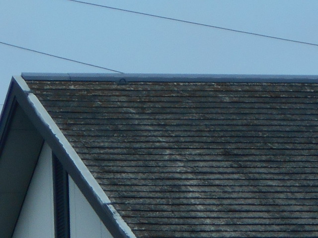 カラーベスト屋根調査