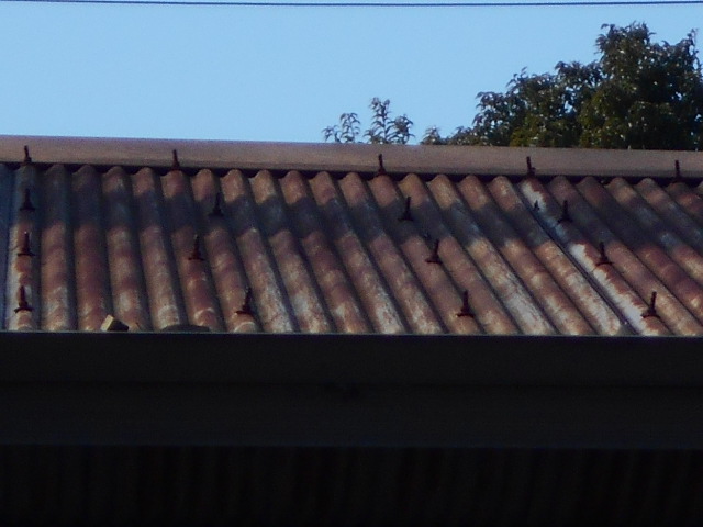 波トタン屋根調査