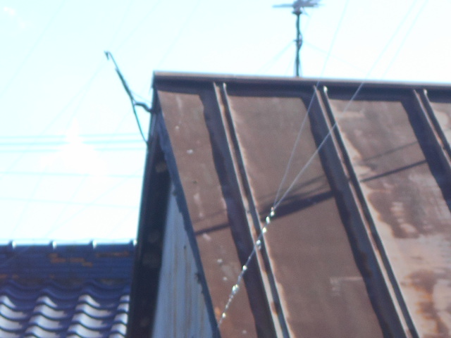 カラートタン瓦棒屋根調査