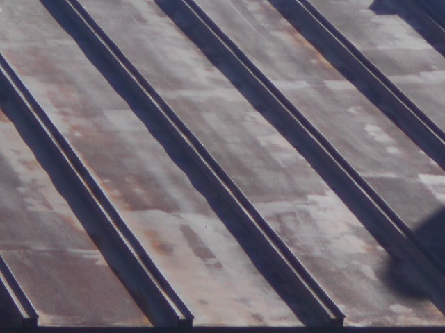 カラートタン瓦棒屋根調査