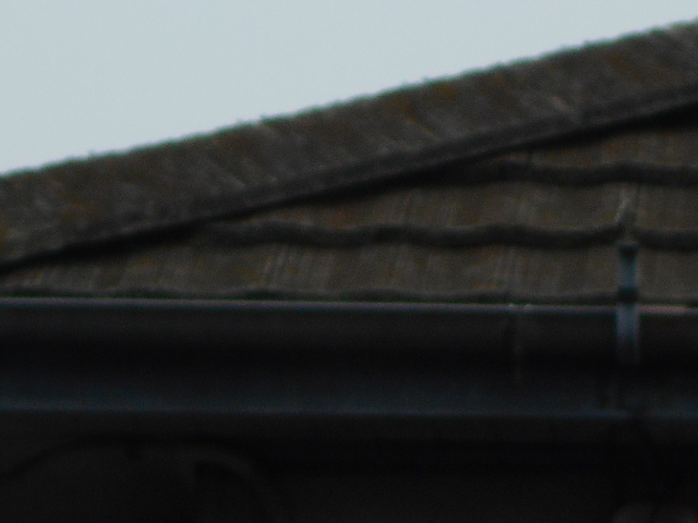 モニエル瓦屋根調査