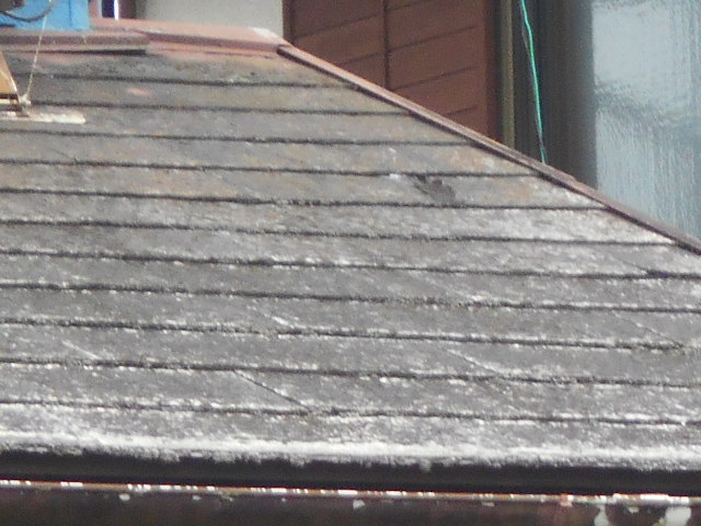 カラーベスト屋根調査