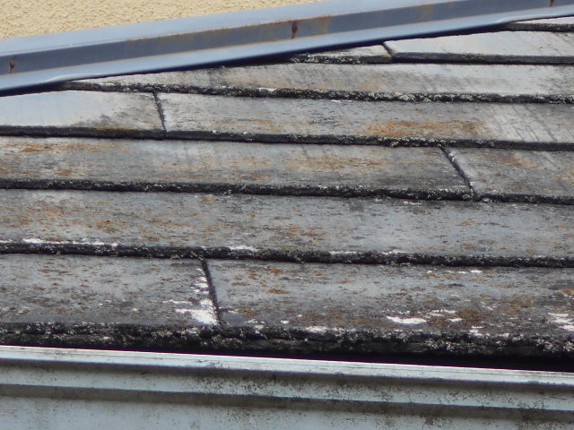 カラーベスト屋根調査