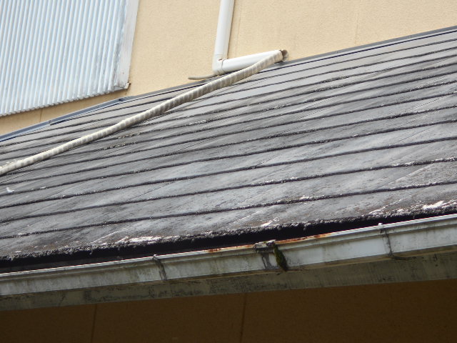 カラーベスト屋根調査