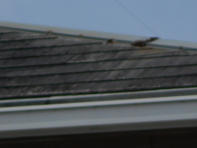 カラーベスト屋根調査