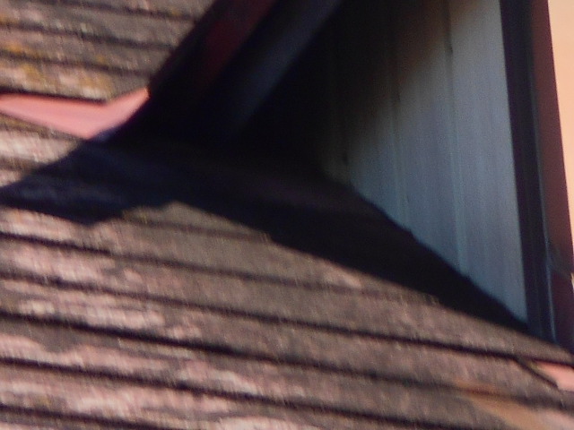 カラーベスト屋根調査