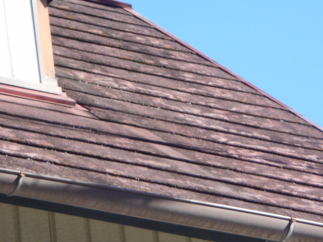 カラーベスト屋根調査