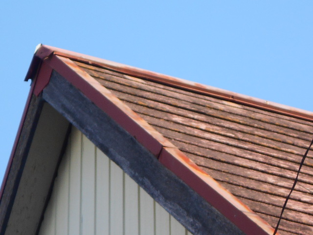 カラーベスト屋根調査