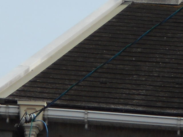 カラーベスト屋根調査