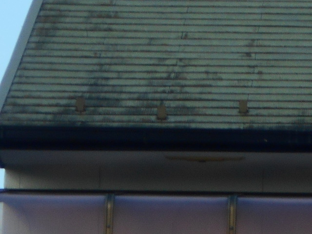 カラーベスト屋根調査