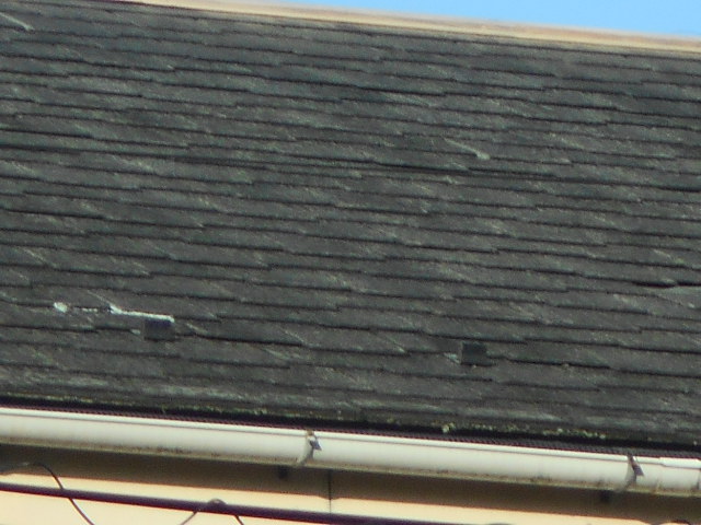 カラーベスト屋根調査