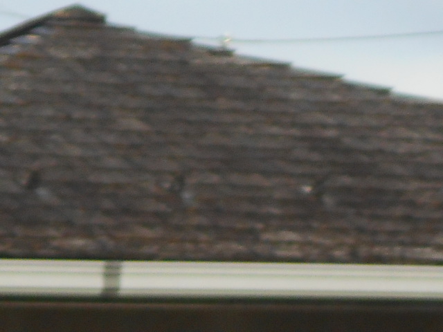 カラーベスト屋根調査