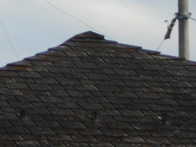 カラーベスト屋根調査