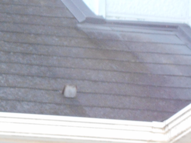 カラーベスト屋根調査