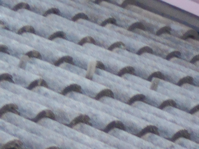 モニエル屋根調査