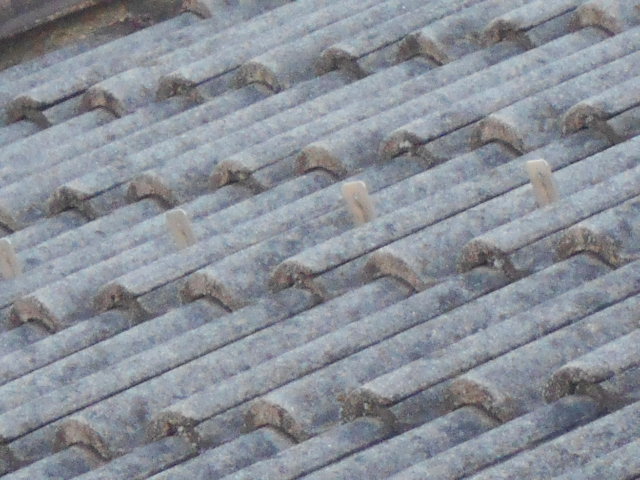 モニエル屋根調査