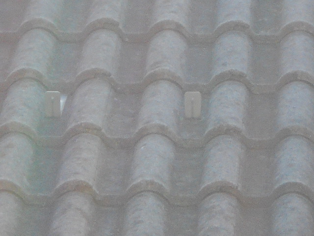 モニエル屋根調査